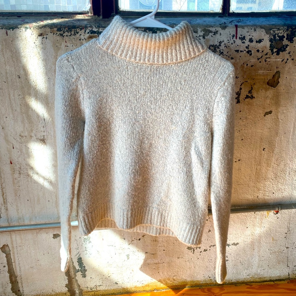 Brandy Melville Turtleneck Sweater ❄️